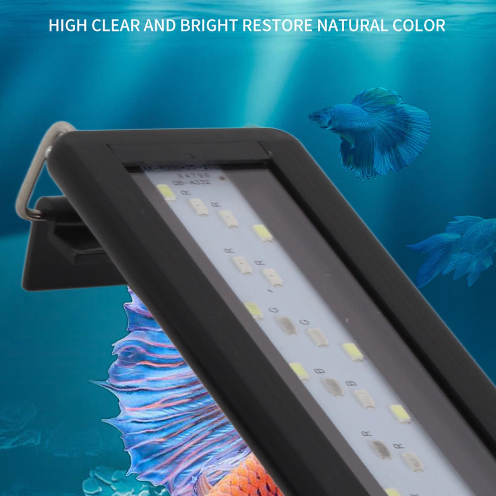 LEDアクアリウムライト　ブラックボックス 格安LEDライト ブラックボックスの使用感と注意点 - 豆腐